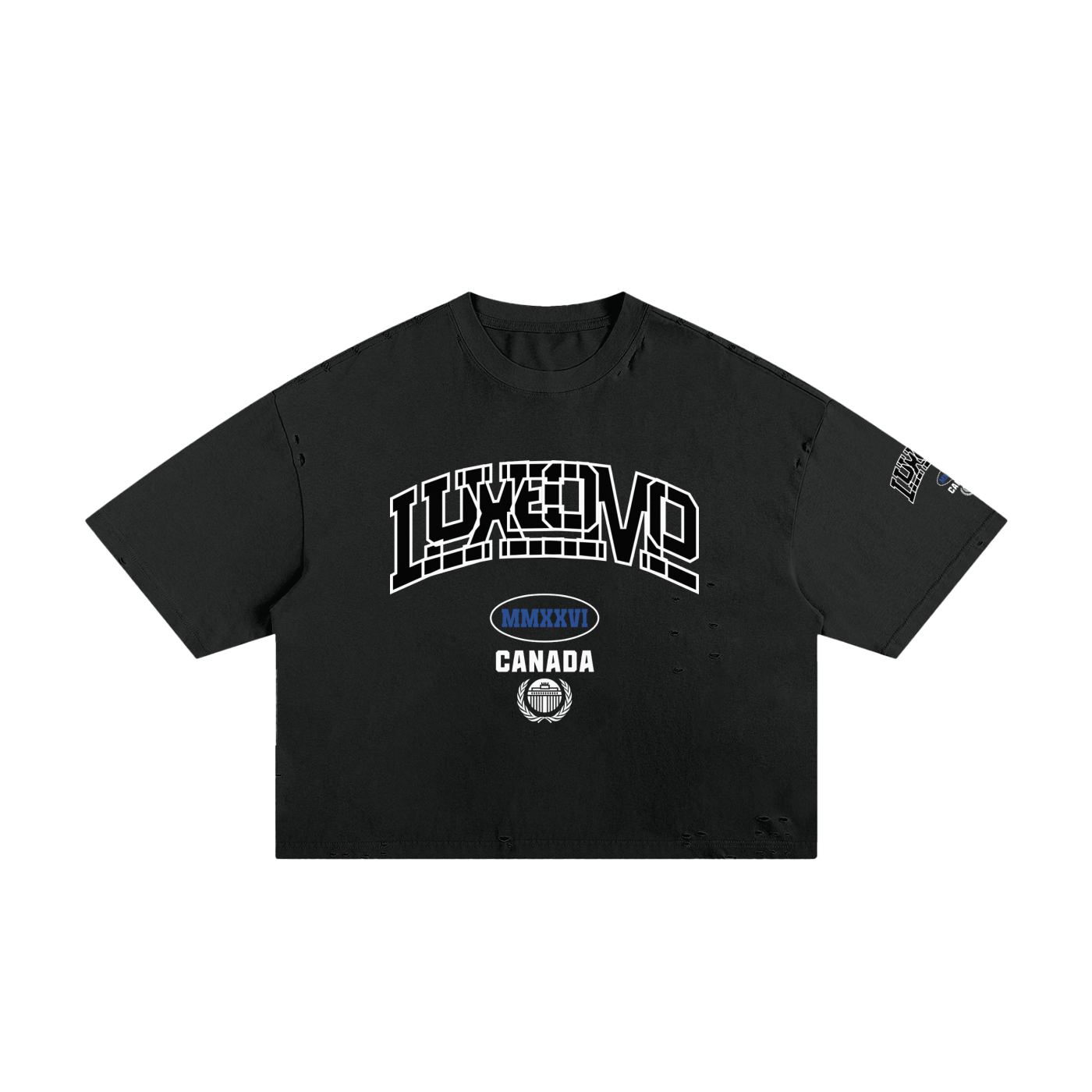 Luxeomo Classic skate Boxy Tee