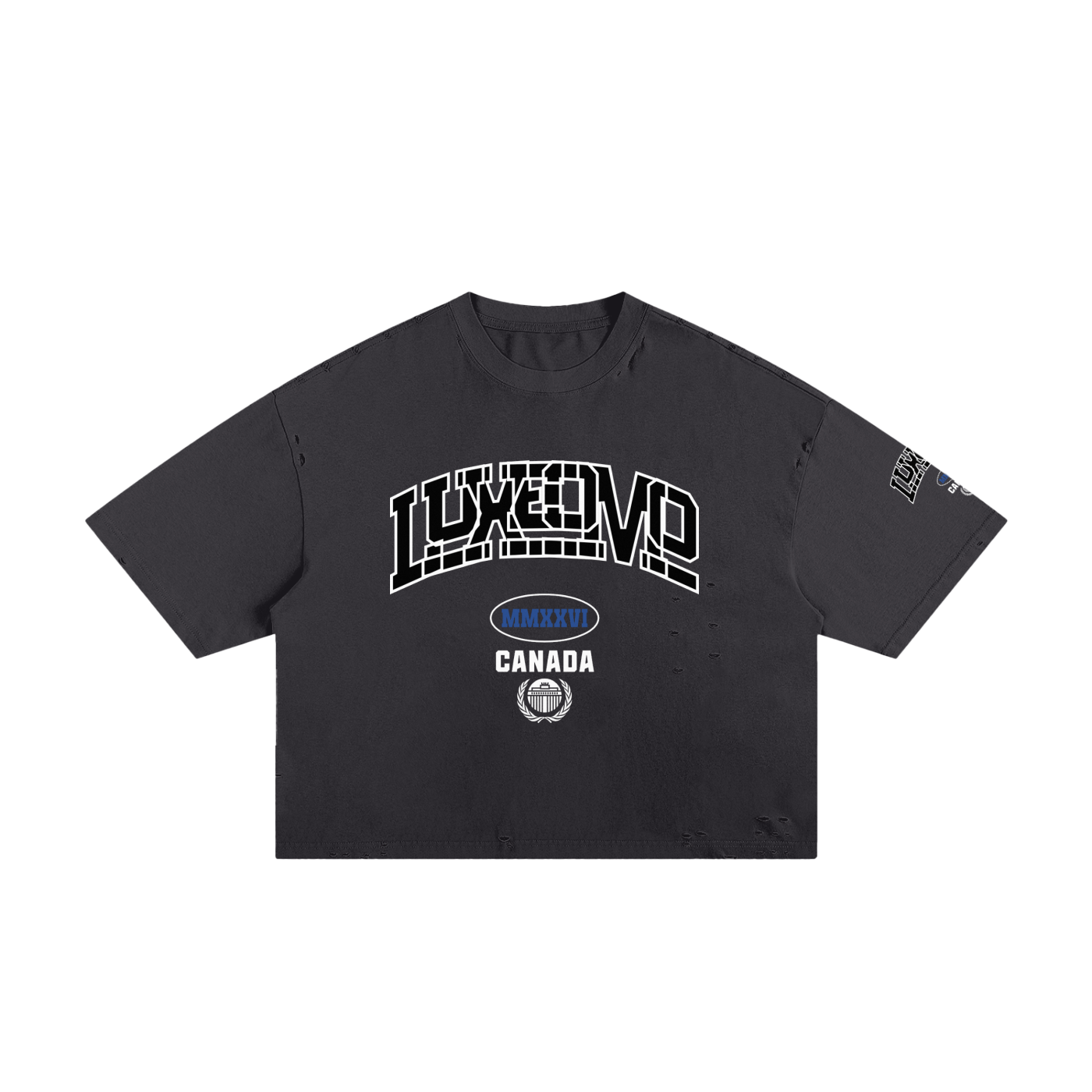 Luxeomo Classic skate Boxy Tee