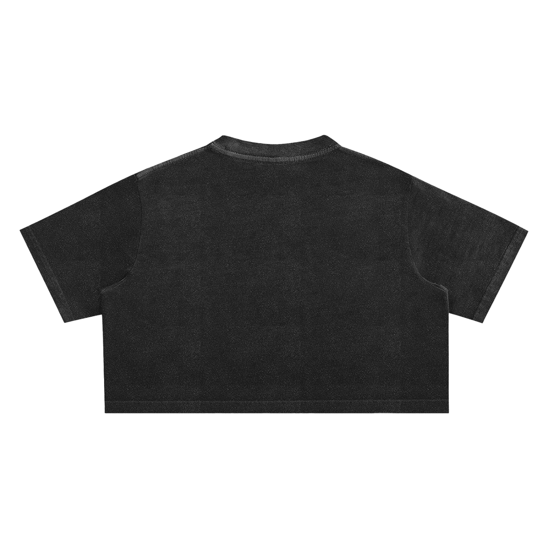 Luxy Washed Crop Top