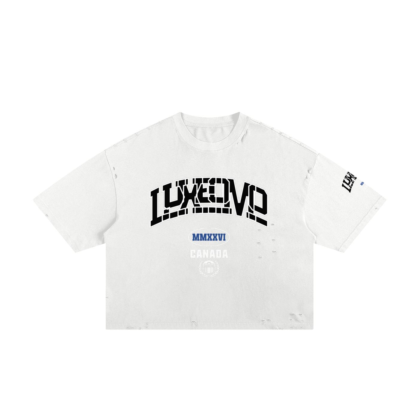 Luxeomo Classic skate Boxy Tee